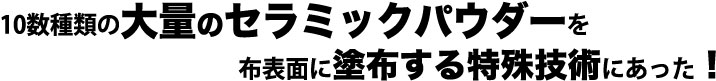 POނ̑ʂ̃Z~bNpE_[z\ʂɓhzZpɂ
